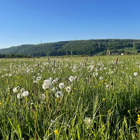 Διαμέρισμα Ferienwohnung Westerburg