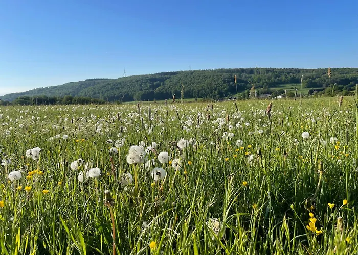 Διαμέρισμα Ferienwohnung Westerburg